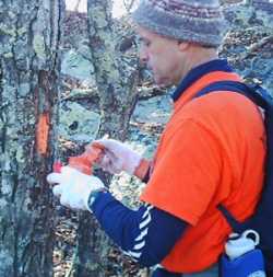 Bob Coyne Paints a Blaze on Kerns Mountain